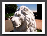 lion king at amstel